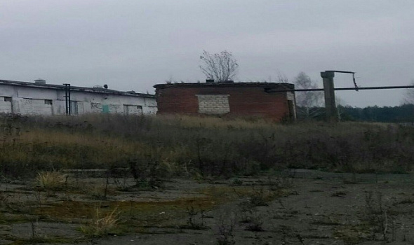 Свинотоварная ферма, д. Есипова Рудня