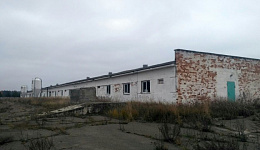 Свинотоварная ферма, д. Есипова Рудня