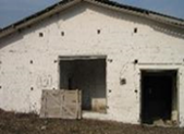 Телятник №1, Ветковский р-н, аг. Неглюбка
