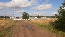 Комплекс зданий и сооружений (16 объектов), Гомельская обл., Житковичский р-н, Милевичский  с/с, 0,3 км западнее д. Березняки