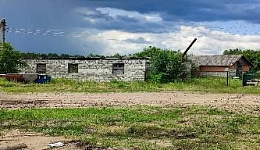 Пилорама, Гомельская обл., Калинковичский р-н, аг. Козловичи