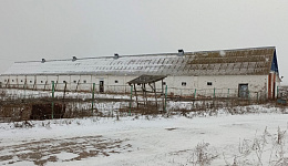 Здание коровника, Добрушский район, д. Николаевка