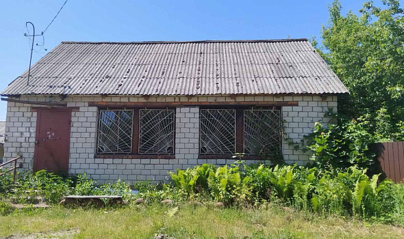 Магазин, д. Колосы