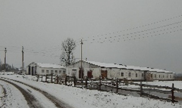 Коровник, д. Кливы