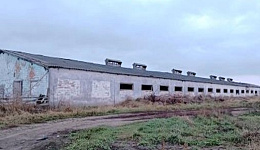 Здание свинофермы, Рогачевский р-н, д. Великие Филипковичи