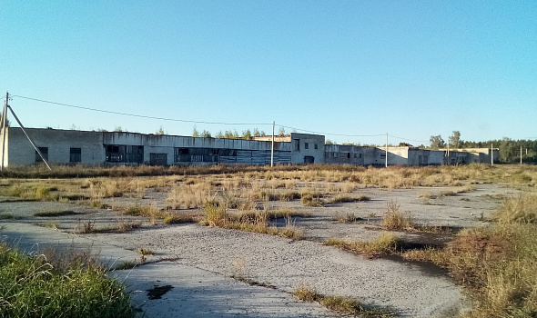 Здание коровника на 1100 голов. Житковичский район. аг.Семенча