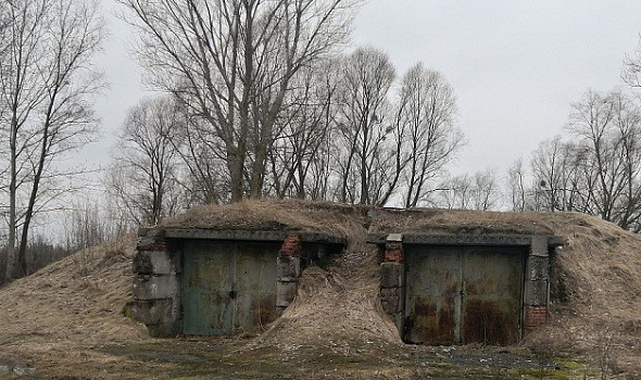 Овощехранилище, г. Петриков, ул. Бумажкова, 3А