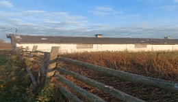 Телятник, Домановичский с/с, 1/7