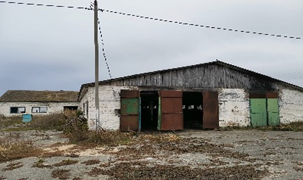 Коровник №1, д. Борисовщина