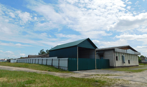 Здание кондитерского и кулинарного цеха, г. Петриков