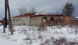 Сарай кирпичный, г.п. Лоев