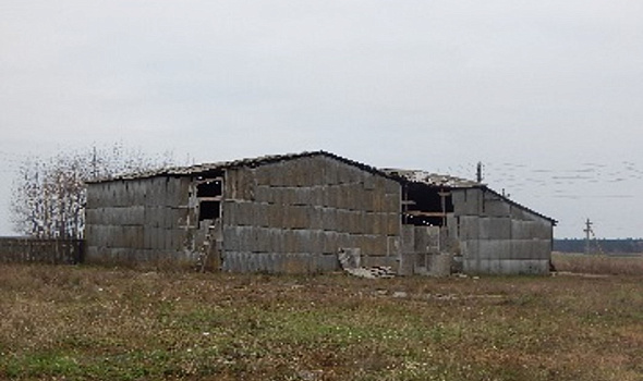 Зерносклад, д. Туневщина