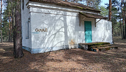 Комплекс зданий оздоровительного лагеря «Полесье», северо-западнее аг. Лясковичи