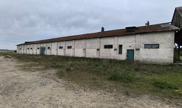 Зерносклад, д. Борисовщина