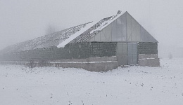 Теплица, аг. Коротьки