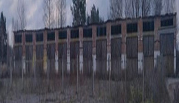 Здание гаражей, д. Хорошевка