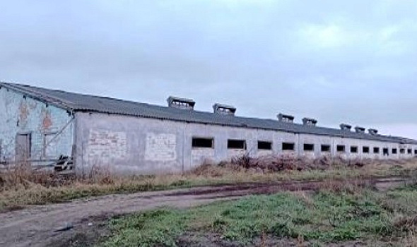 Здание свинофермы, Рогачевский р-н, д. Великие Филипковичи