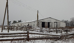 Коровник 1600, д. Кливы