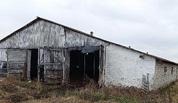 Телятник, д. Зятковичи