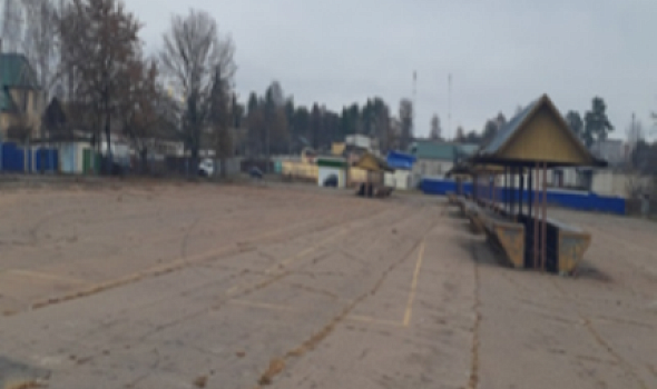 Рынок, г.Светлогорск 