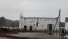 Склад для комбикорма, Гомельская обл., Калинковичский р-н, аг. Дудичи