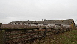 МТФ, д. Алексичи