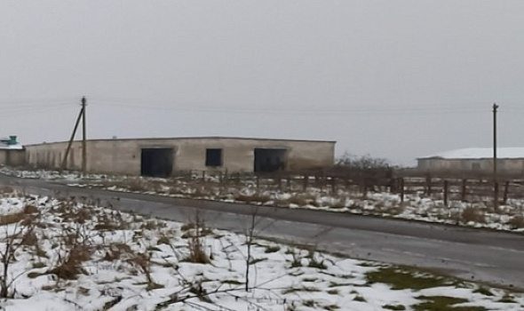 Здание коровника на 200 голов, Буда-Кошелёвский р-н, д. Пуща