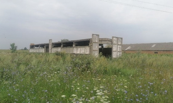 Сарай, д. Дубовица