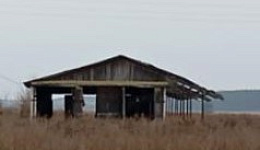 Телятник, д. Майск