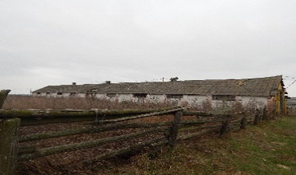 МТФ, д. Алексичи