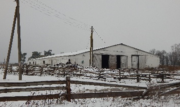 Коровник 1600, д. Кливы