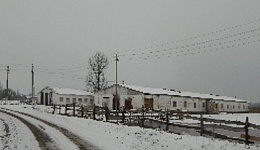 Коровник, д. Кливы