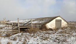 Телятник, Добрушский р-н, аг. Красная Буда, ул.Ленинская
