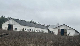 Комплекс зданий, д. Свидера