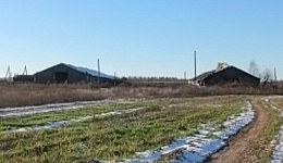 Овчарник, Светлогорский р-н, д. Карповичи