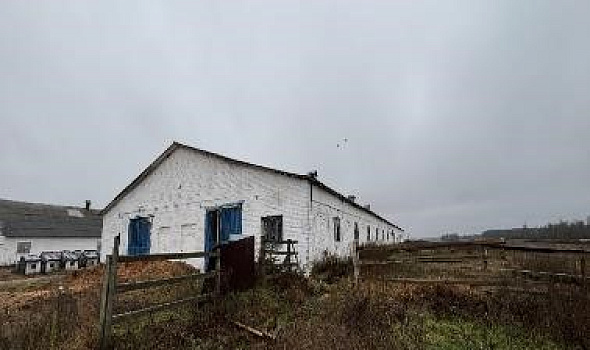 Коровник 2-х рядный, д. Островчицы