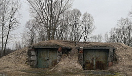 Овощехранилище, г. Петриков, ул. Бумажкова, 3А