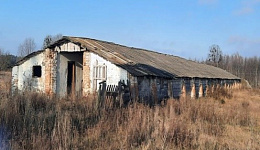 Коровник на 150 голов, д. Бобруйки