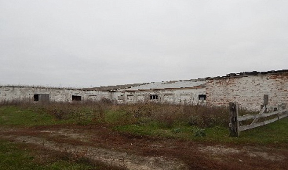 Свинарник, д. Алексичи