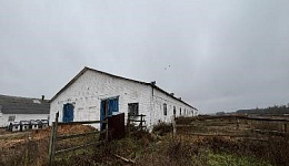 Коровник 2-х рядный, д. Островчицы