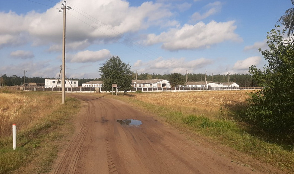 Комплекс зданий и сооружений (16 объектов), Гомельская обл., Житковичский р-н, Милевичский  с/с, 0,3 км западнее д. Березняки