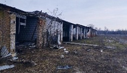 Мастерская, Домановичский с/с, 1/2