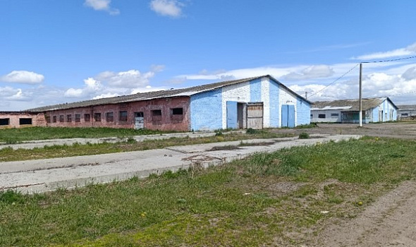 Комплекс коровников, д. Новая Гусевица