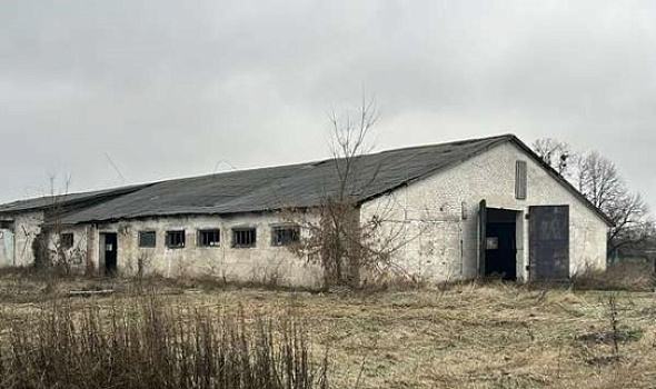 Здание телятника на 245 голов, д. Стасевка