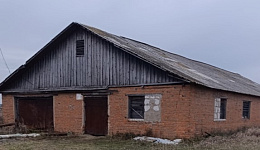 Пилорама «Рогинь», Буда-Кошелёвский р-н, аг. Рогинь