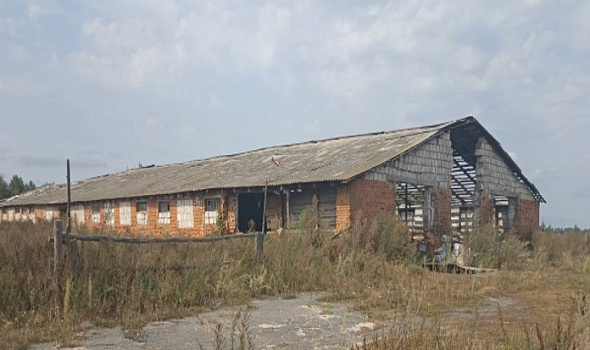 Коровник, Светлогорский р-н, д. Славань