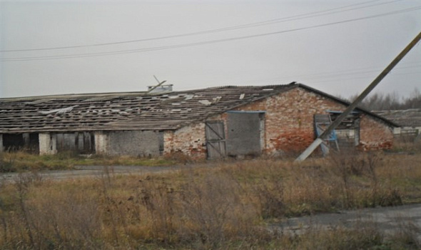 Комплекс МТФ "Борки" (4 объекта), Петриковский р-н, аг. Комаровичи