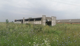 Сарай, д. Дубовица