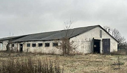 Здание телятника на 245 голов, д. Стасевка