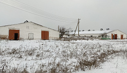 Коровник, Добрушский район, д. Николаевка